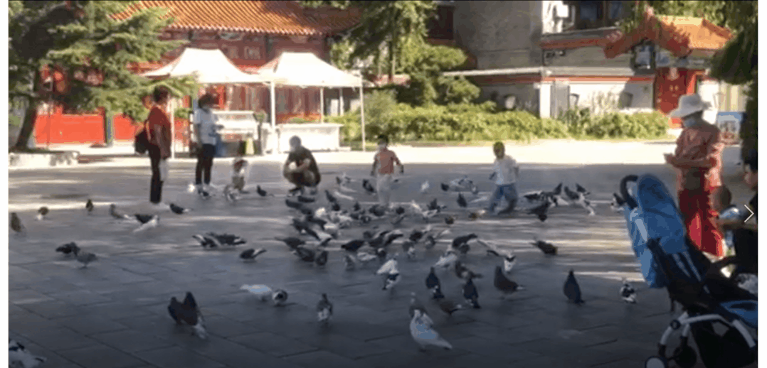 行业快讯 | 未来居在北京 | 新鲜出浴的「龙脉温泉」泡后感 一年四季谁不AI？