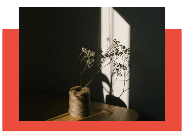 行业快讯 | 改写空间的感官体验