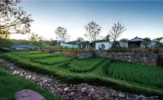 把森林搬进城市，这件事情并非想象