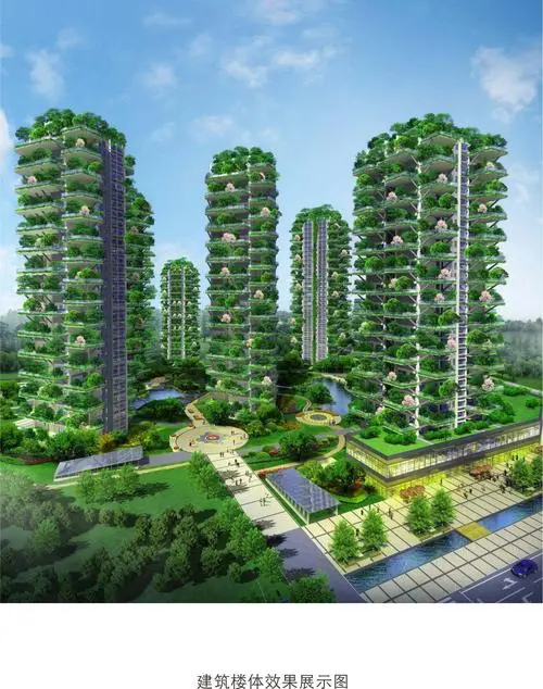 把森林搬进城市，这件事情并非想象