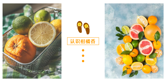 行业快讯 | 柑橘香 | 秋冬的一抹暖阳