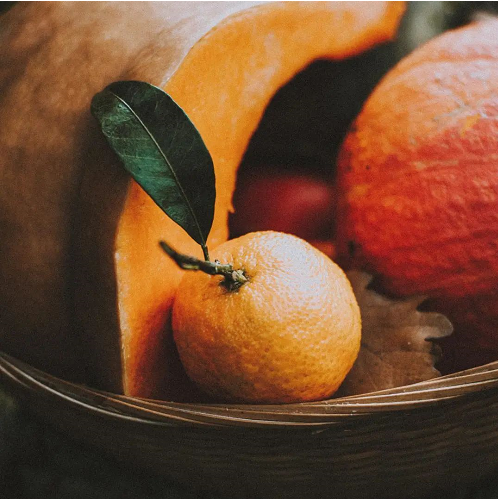 行业快讯 | 柑橘香 | 秋冬的一抹暖阳