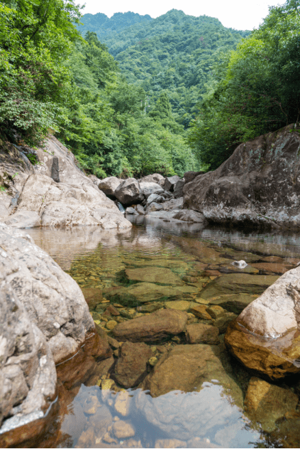 水战又起，江南贡泉进军上海引发“天然水“和”天然山泉水“之争 