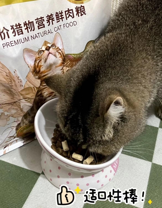 弗列加特猎物营养鲜肉粮 鲜肉直灌yyds