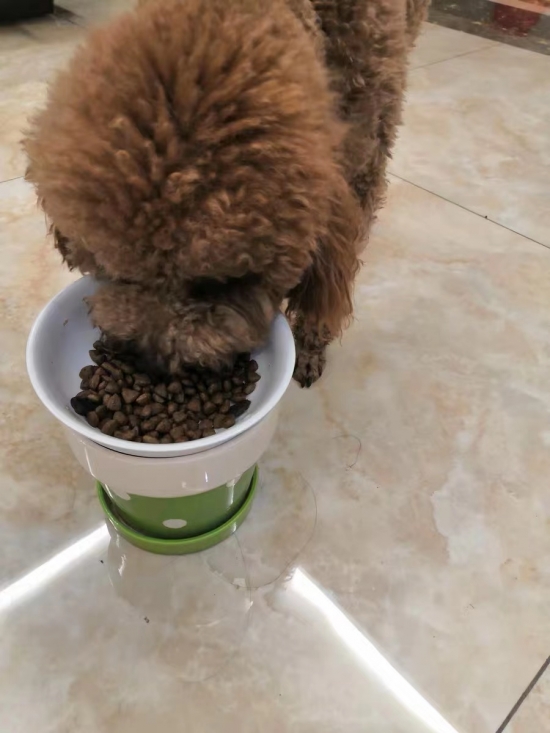 炫饭吧狗子！爱上麦富迪风干黑肉粒就现在！