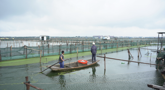 壹品慧：以电商赋能，解决农产品购销“双难”问题