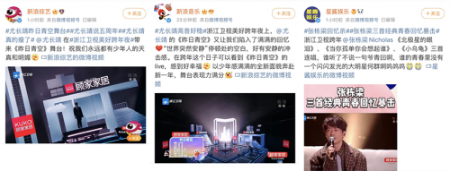 浙江卫视美好跨年夜收官 顾家家居狂揽48亿+关注