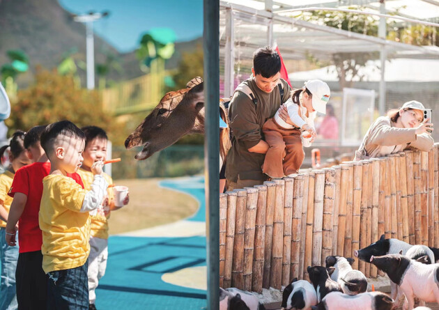 温州泰顺火了！升格国家级旅游度假区！