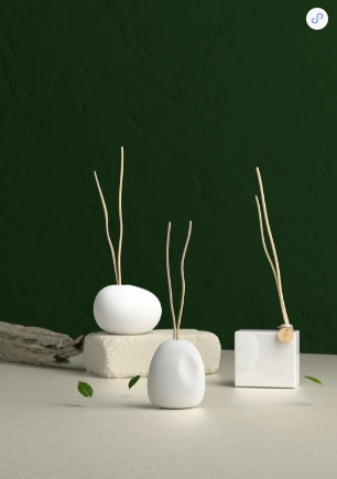 立春，茶香四溢