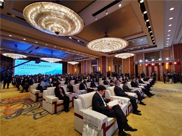 世界湿地日——相约西溪！西溪天堂助力守护这片诗意栖息地