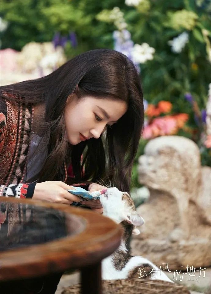 未来居·情人节智能酒店推荐 | 跟着刘亦菲，一路向西去大理，去蜜悦！