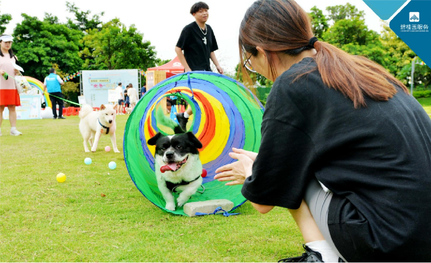 碧桂园服务曹宁钏：坚持“以人为中心”，推动物企不断创新服务
