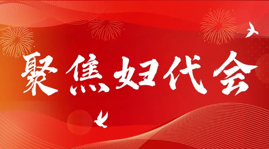 行业观察 快讯丨喜讯 热烈祝贺雅兰纺织集团董事长韩玲当选陕西省妇女联合会第十四届常委