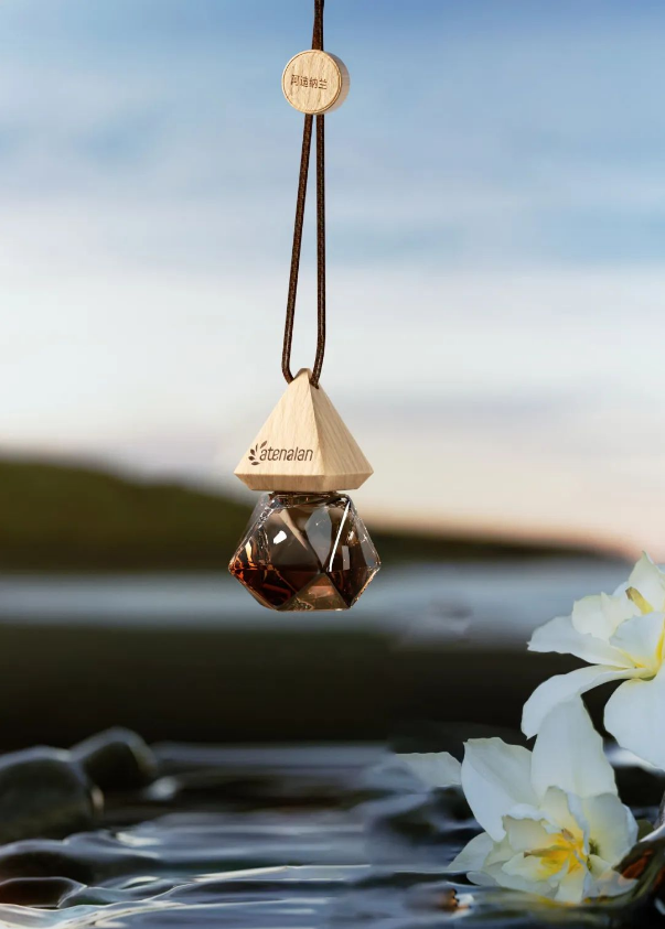 行业观察 快讯丨春光里，老朋友回来啦！