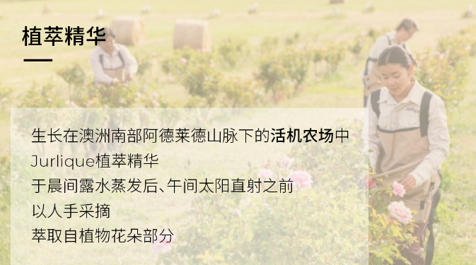 行业观察 快讯丨Jurlique 她，瑰丽而璀璨