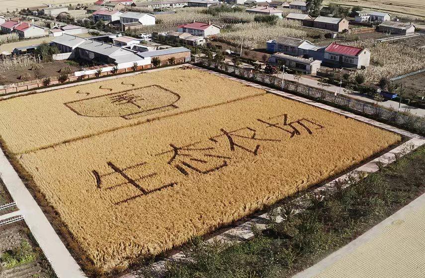 华住公布全年业绩，坚定精益增长，聚焦主业发展