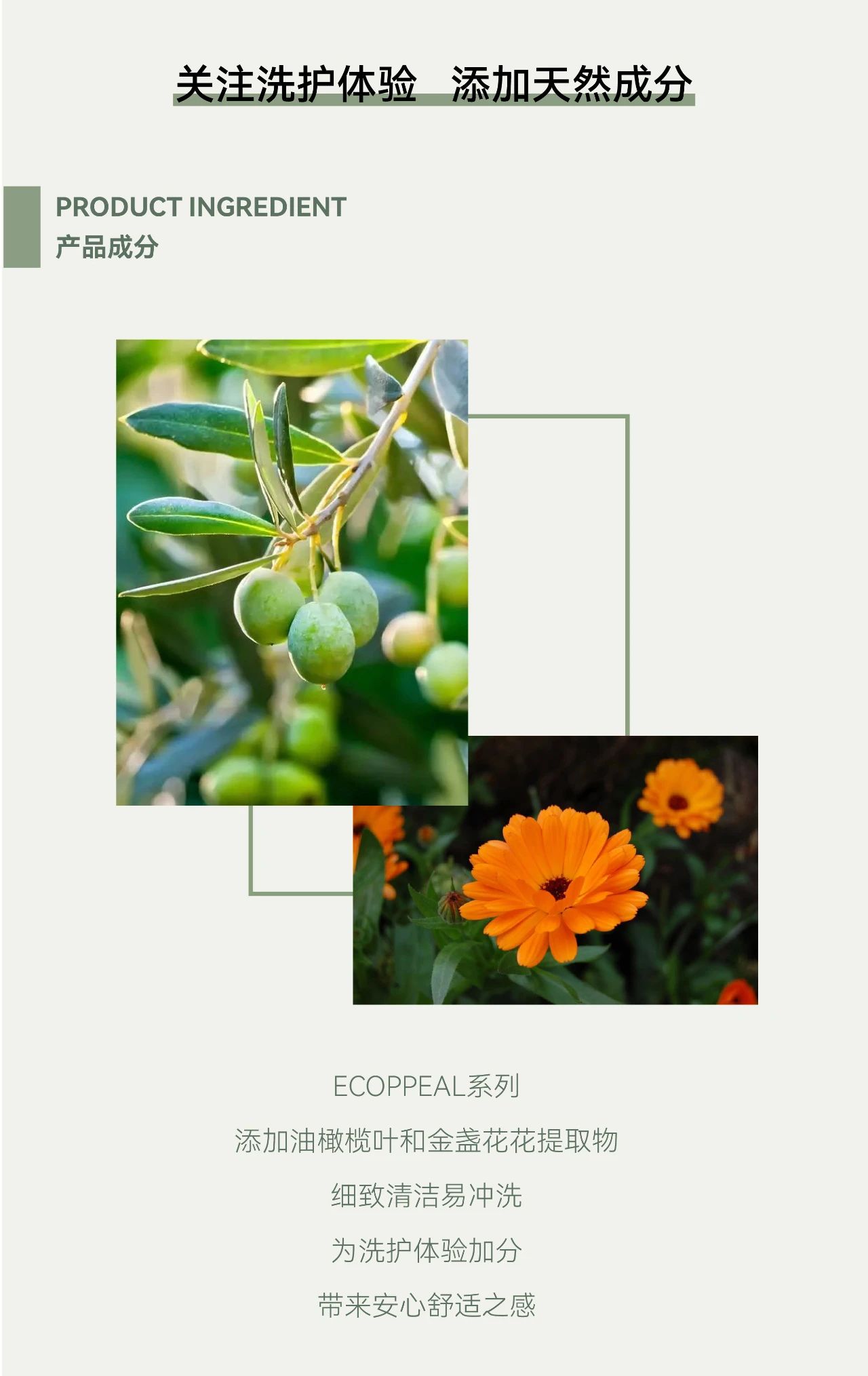 好物Mark丨ECOPPEAL-可持续生活方式品牌 用再生守护世界美好