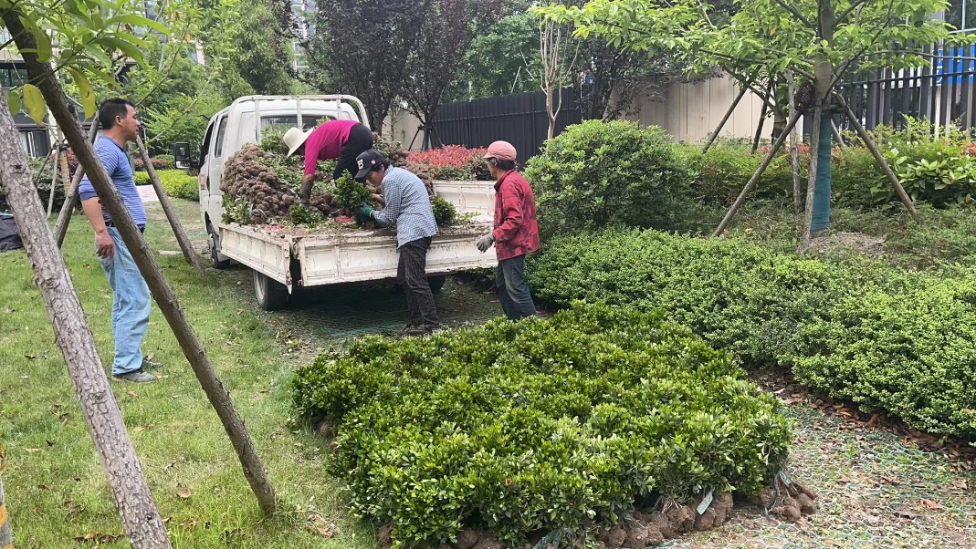 喜讯！这个小区被评为宁波市园林式居住区