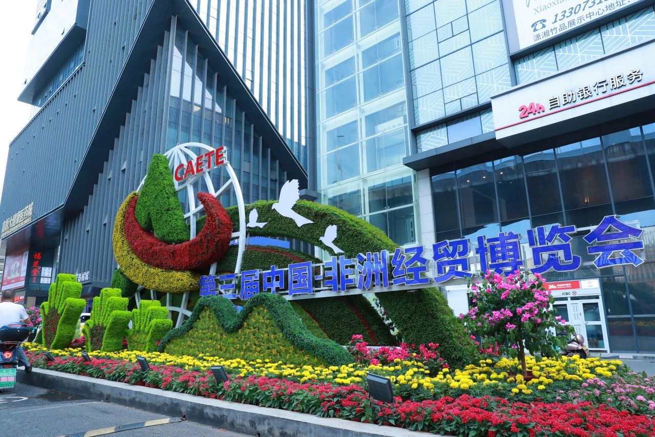 行业观察 快讯丨第三届中非经贸博览会在长沙开幕，高桥分展馆设“1+1+4”展区