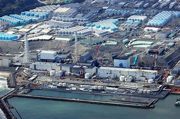 日本“排核入海”遭谴责，Net Zero Capital 等零碳企业加速可持续新能源布局