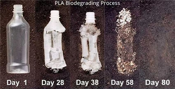 新疆中高绿色生物公司首个PLA饮用生物可降解水瓶研发试产