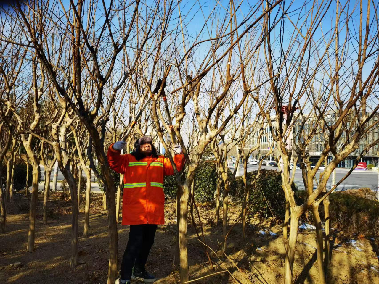 清洁快讯丨中国清洗保洁行业动态（第706期）