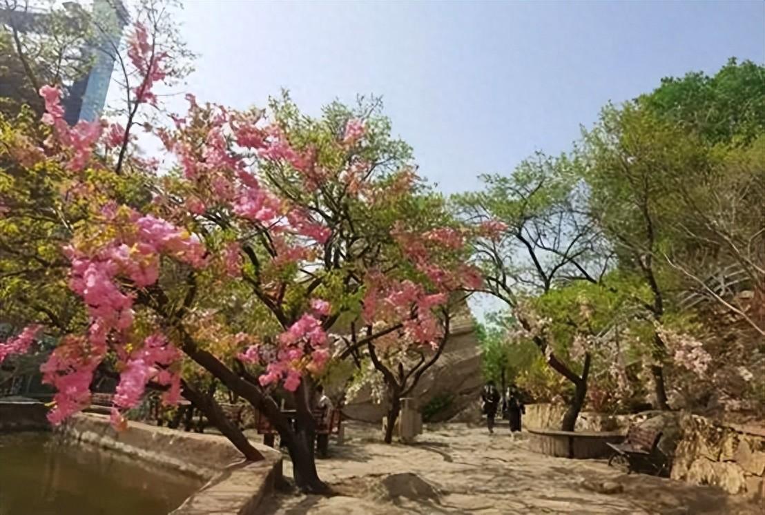 春暖花开浪漫时，约惠北京清凉谷风景区！