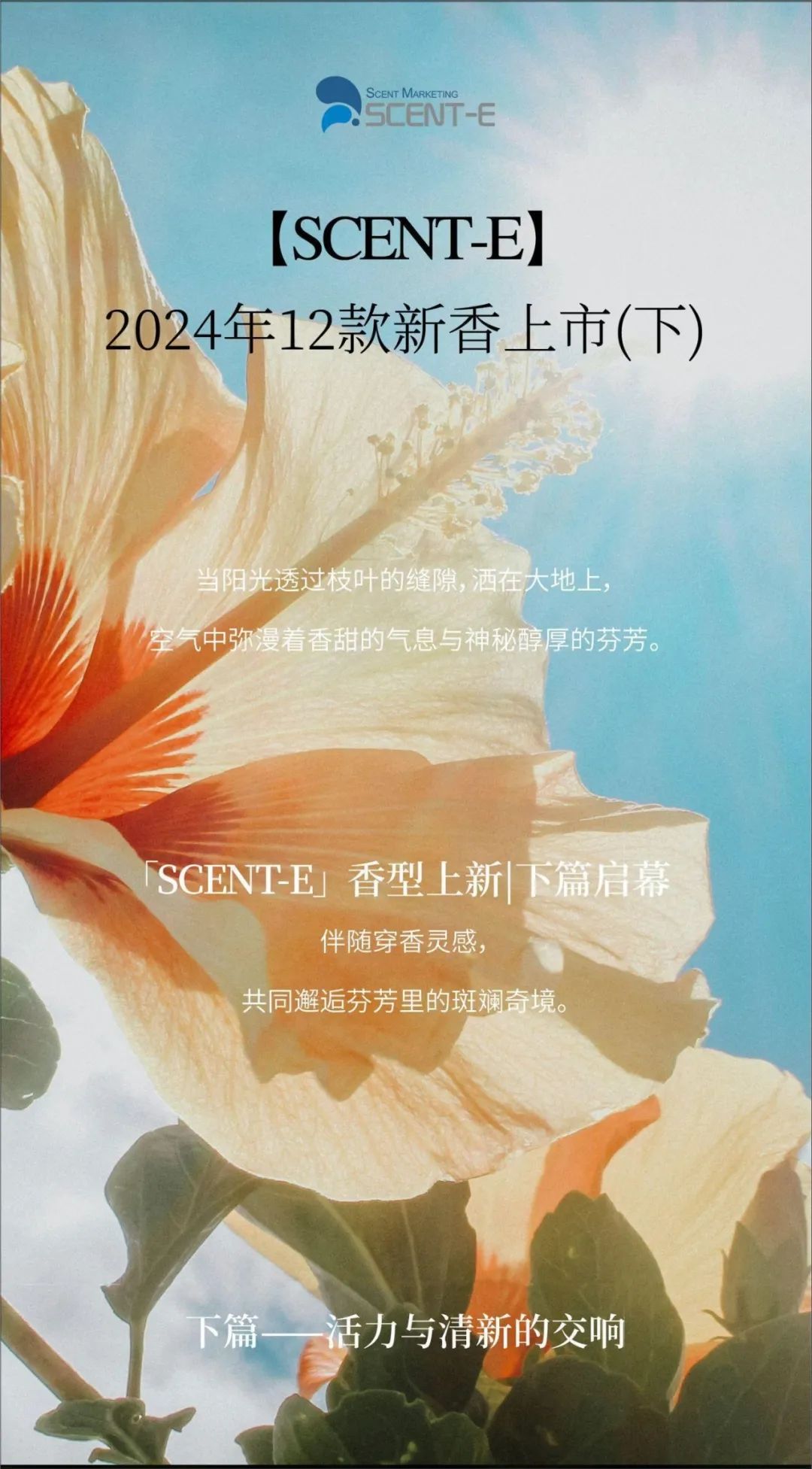 行业观察 快讯丨[SCENT-E]2024年12款新香上市(下)