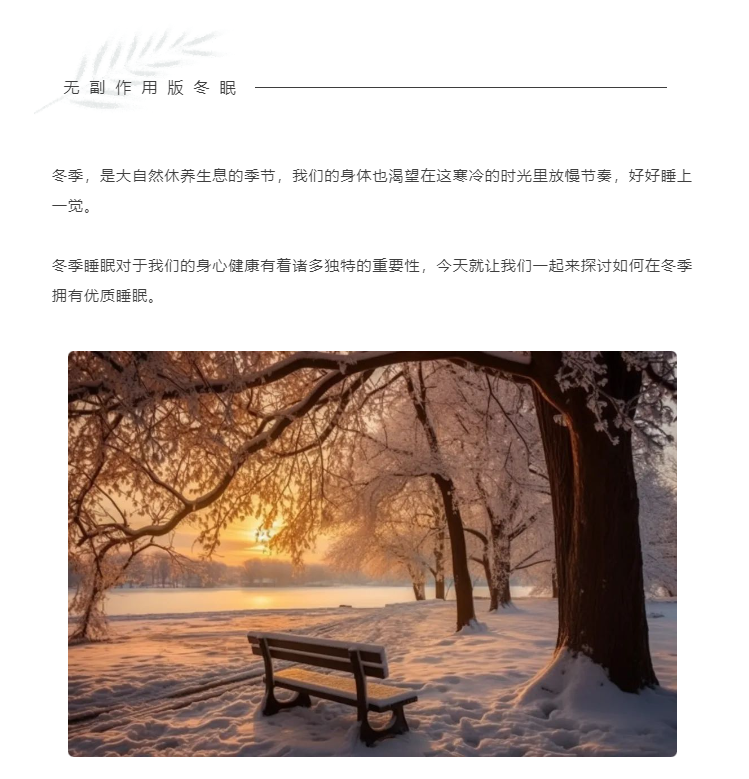 行业观察 快讯丨新年礼盒放送福利 无副作用版冬眠，请查收！