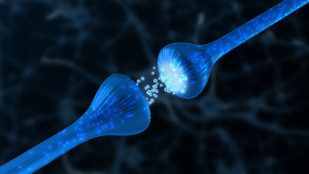 《自然·神经科学》：助眠还抗Tau！新型抗失眠药物或可减轻tau蛋白在阿尔茨海默病中介导的神经退行性变