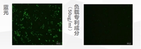 蓝光伤肤不可忽视，华妍光钥筑起光损防护墙