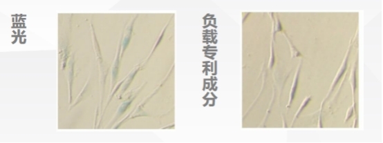蓝光伤肤不可忽视，华妍光钥筑起光损防护墙