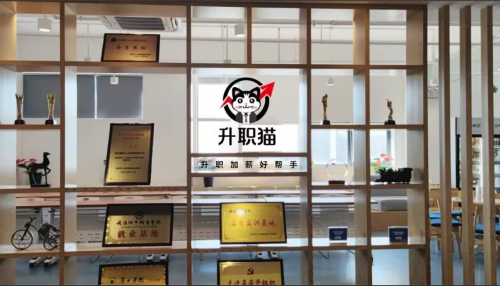 死档激活不是难题，选择升职猫1天轻松搞定！