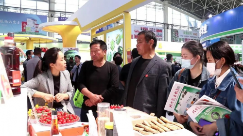 首届山东聊城莘县绿色蔬菜博览会开幕